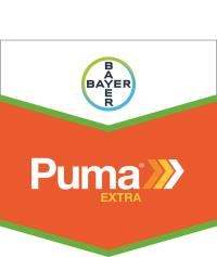 Puma extra online