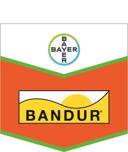 Bandur®