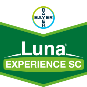 Luna® Experience SC