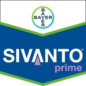 SIVANTO® Prime