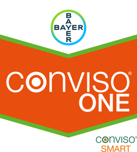 Conviso® ONE