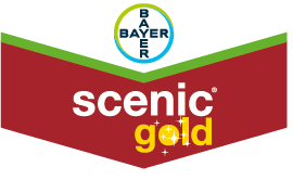 Scenic® Gold