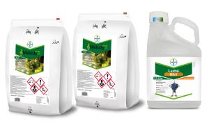 Melody® Max Pack (Melody® Combi + Luna® Max)