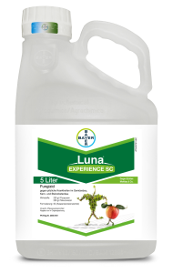 Luna® Experience SC