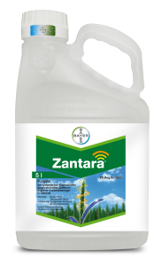 Zantara®